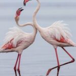 601047405 18384917086146026 1950064572969077897 n